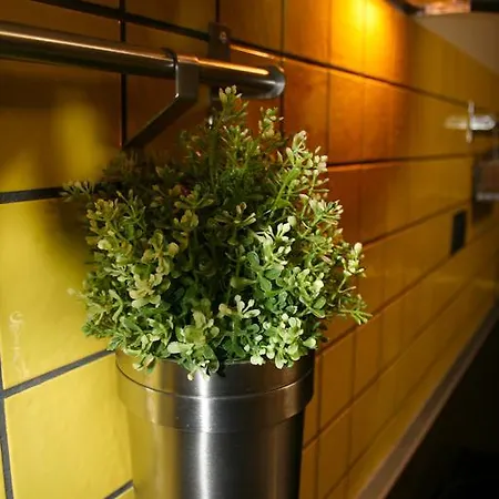 招待所 奥黛丽客房旅馆